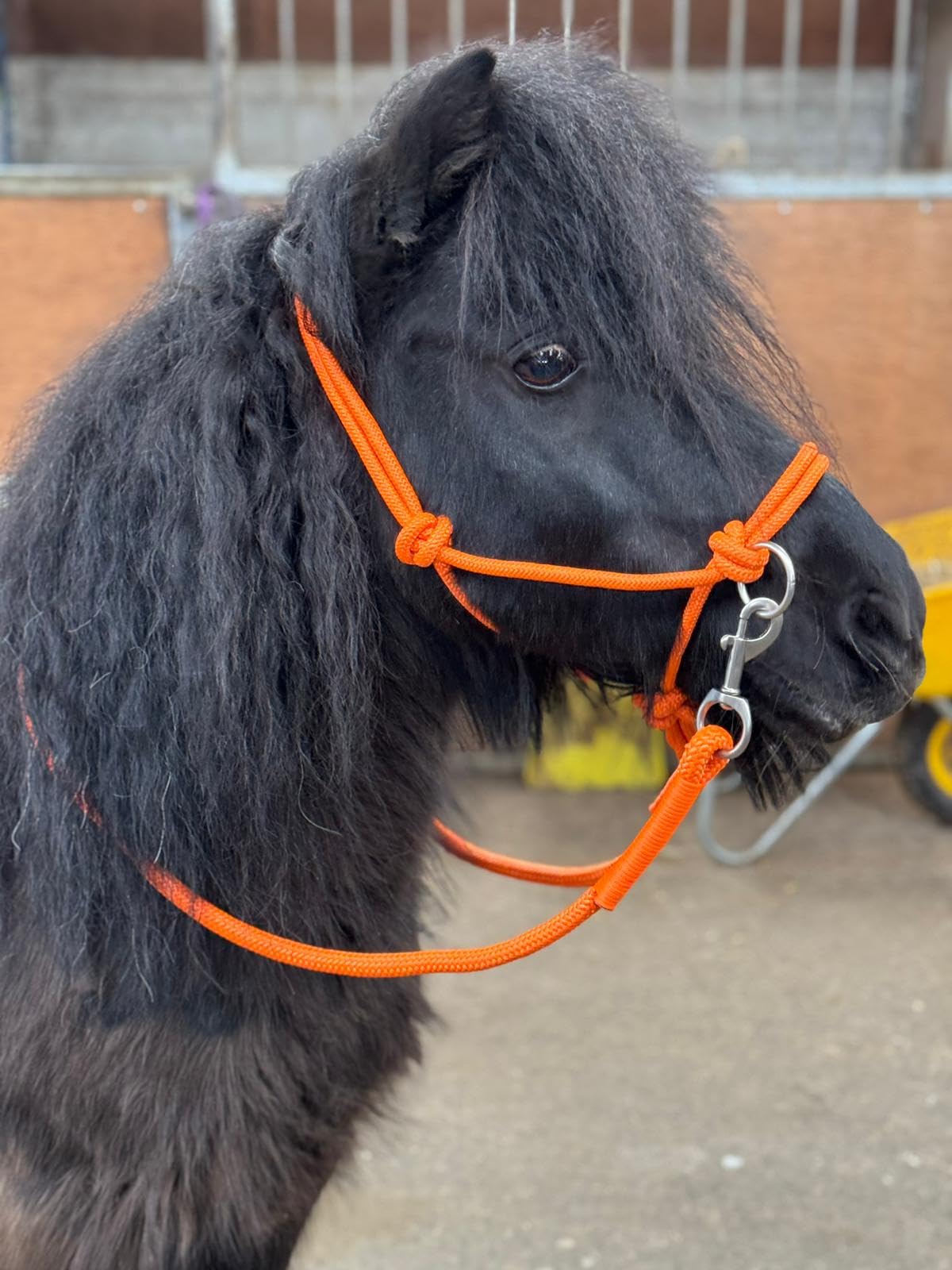 Rope headcollar with Reins for use of Bitless Horse Riding Full to Mini Shet 5 Colours (Orange, Pony)