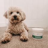 pet wiz Vet Approved 240 Extra Large Natural Eye Wipes for Dogs view 5