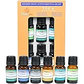 Thien an - Set of 6 Essential Oils Rosemary Camphor Lemongrass Peppermint Holy Basil Eucalyptus Scents with 6 Dropper Caps fo