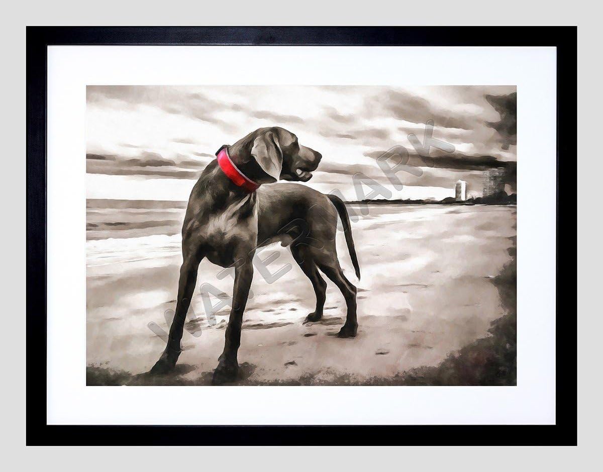Best Weimaraner Kitchen Art