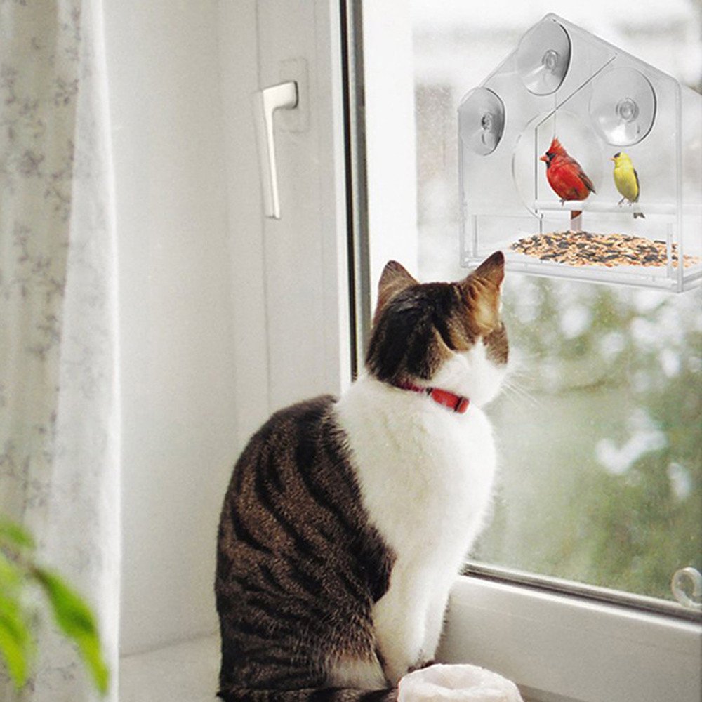 Todidaf Fenetre En Verre Clair Regarde Des Oiseaux Nourrir Hotel Table Graine Arachide Suspendus Aspiration Coupes En Perspex Nichoirs Oiseaux Sauvages Todidaf Fenetre En Verre Clair Regarde Des Oiseaux Nourrir Hotel Table Graine Arachide Suspendus Aspiration Coupes En Perspex Nichoirs Oiseaux Sauvages