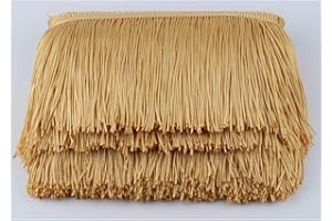 HEARTWISH Fringe Trim Lace Polyerter Fibre Tassel 4inch（″） Wide 10 Yards Long for Clothes Accessories and Latin Wedding Dress and DIY Lamp Shade Decoration Black (Gold)