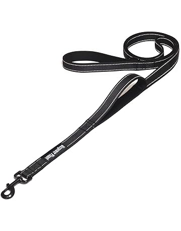 dog leashes on amazon