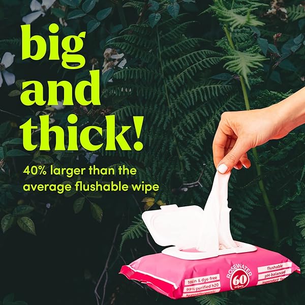 GOODWIPES FLUSHABLE BUTT WIPES MADE WITH VITAMIN E & ALOE – SOFT & GENTLE WET WIPE DISPENSER FOR HOME USE, SEPTIC & SEWER SAFE – LARGEST ADULT TOILET WIPES – ROSEWATER, 60 COUNT