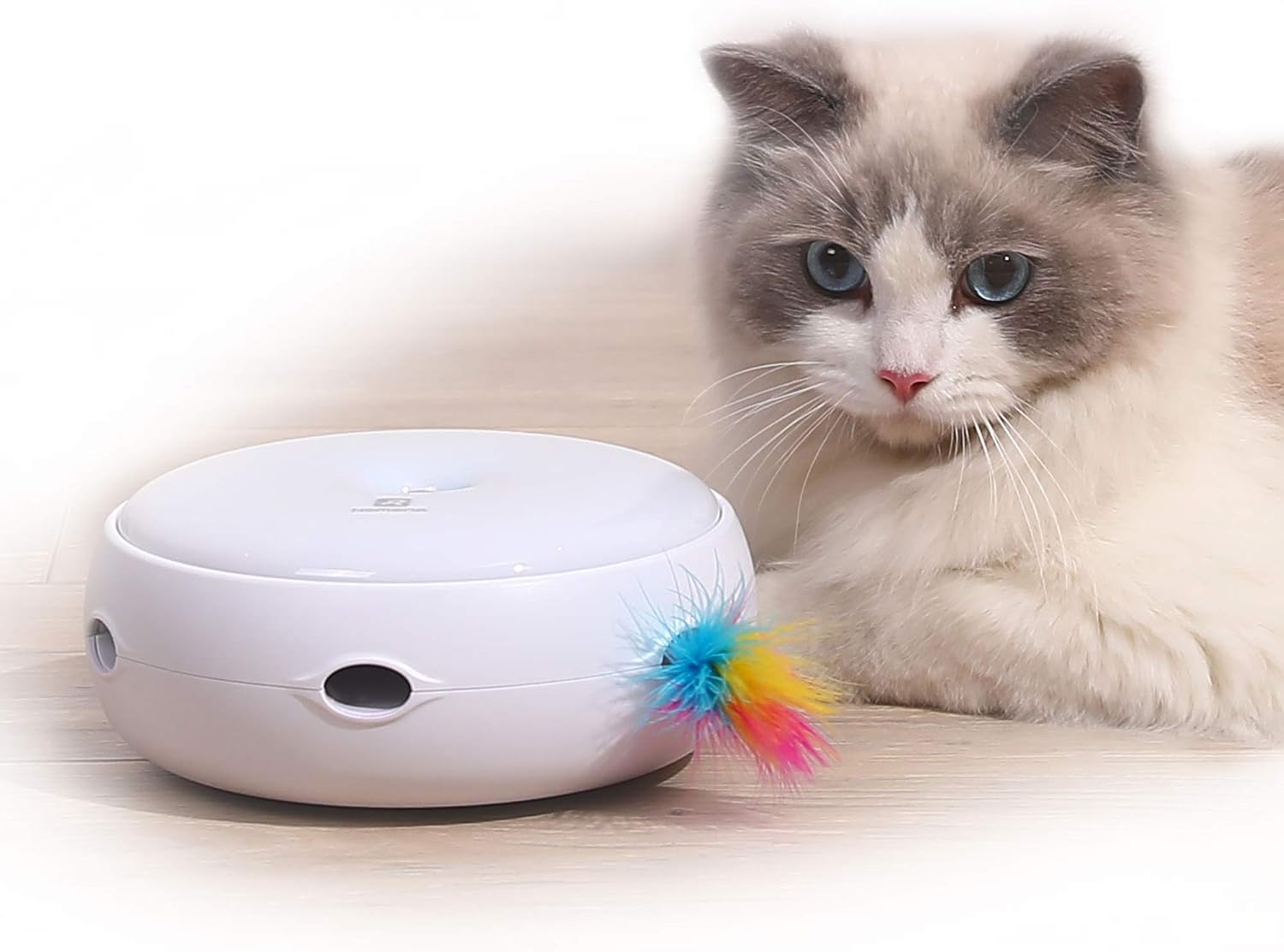 PETTOM Nouvelle Version Silencieuse Jouet Chat Interactif Jeux pour Chat Automatique à Plume Jeu