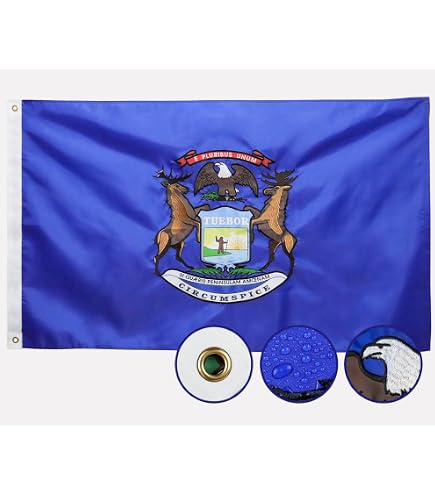 Michigan State Flag - Made in USA - Heavy Duty Outdoor Nylon – USA Flag Co