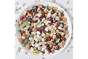 RTUDOPUYT 3Lb Pebbles for Indoor Plants,River Rocks for Succulent Plants,Aquarium Gravel,Decorative Stones Bonsai Garden Pebbles,Aquarium Rocks for Landscaping,Plants,Vase Fillers (Multicolor)