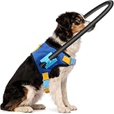 LetPetRun Blind Dog Halo Harness, Adjustable Anti-Collision Aid, XS 10"-14" | Protective Navigation Bumper Collar for Blind Dogs, Lightweight No-Flip Vest Harness, Comfortable Mobility Aid for Walking
