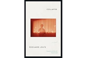 Collapse: A Novel