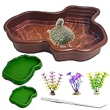 Apatal Reptile Bathing Pool 2-in-1 Tortoise Water