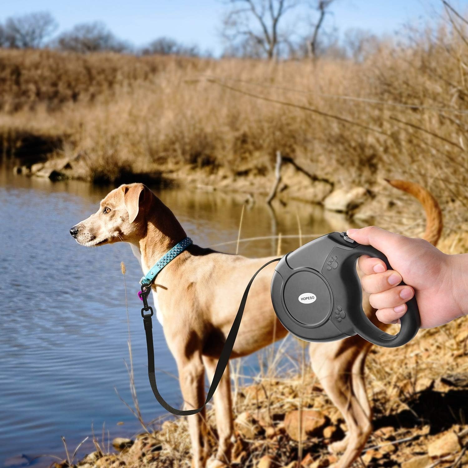 retractable dog lead 50kg