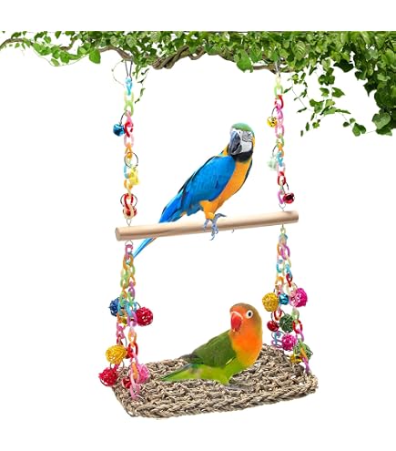 Bird Swing Spielzeug Aus Holz Mit Perlen & Glocken – Für Wellensittiche, Lovebirds, Zum Klettern & Schaukeln