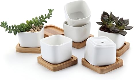 Amazon Co Jp T4u 5cm 植木鉢 サボテン鉢 多肉植物鉢 陶器鉢 竹トレイ付き 底穴付き 6個入り ミニ植物適用 白 Diy 工具 ガーデン