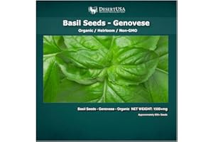 DesertUSA Organic Basil Seeds - Genovese - Ocimum basilicum - Seeds for Planting, 1500+mg - 850+ Herb Seeds, Indoor or Outdoor Growing, Heirloom, Non-GMO