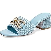 Coutgo Womens Raffia Slide Sandals Chunky Block Heeled Square Open Toe Metal Chain Slip on Mules Dressy Shoes