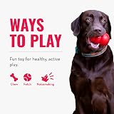 KONG Squeakair Balls Dog Toy Premium Squeak Tennis Balls 3 Pack Medium view 5