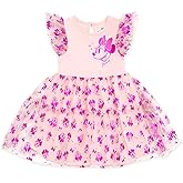 Disney Minnie Mouse Girls Tulle Ruffle Dress Toddler to Big Kid Sizes (2T - 10-12)
