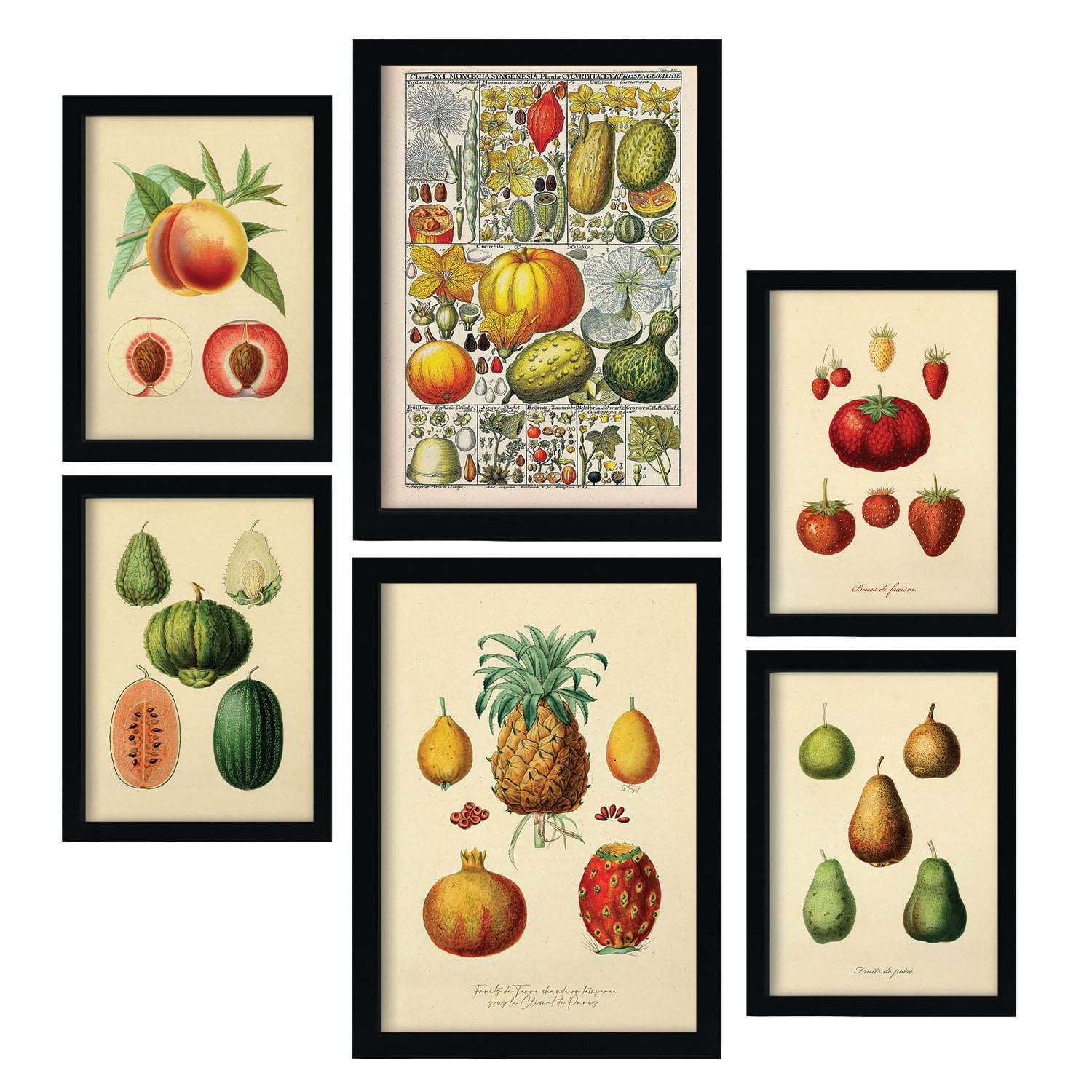 Nacnic Set of 6 Healthy Posters. In Vintage Prints Decorative Prints for your living room, bedroom, home. Wall art print. Sizes A4 and A3