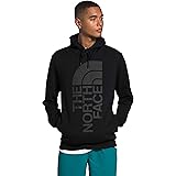 the north face jumbo half dome hoodie