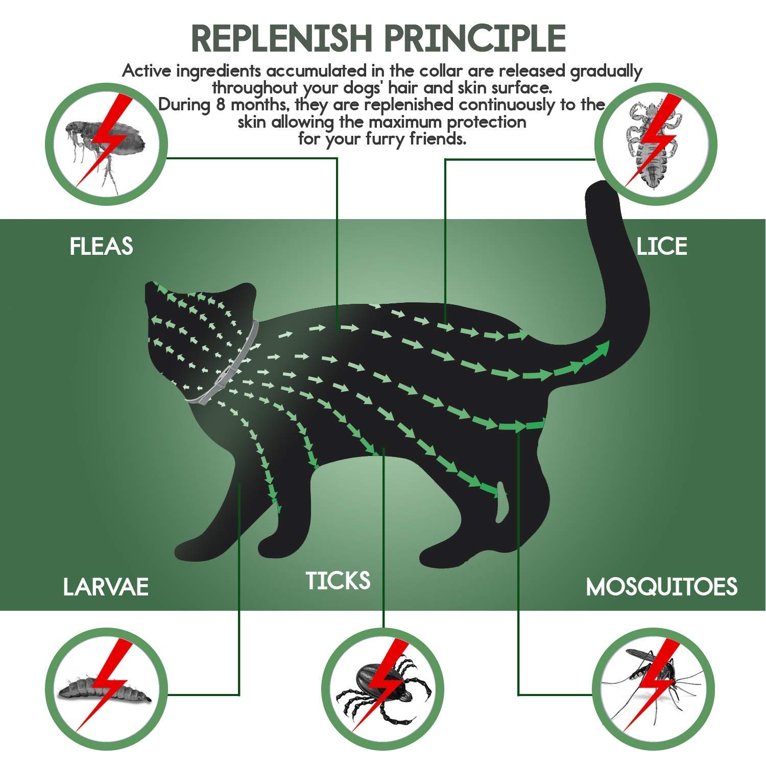 Wall Hanging Mounted Fish Tank, Acrylic Fish Bowl Packaging Include Colored Gravel and Plastic Plant ,Smooth and Clear Surface With Undersea World Background - SupperAcryilc