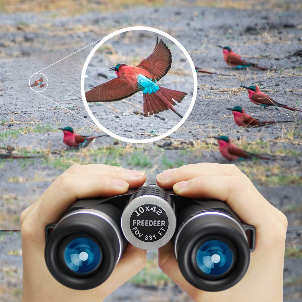 Fernglas für Erwachsene,FREEDEER,10 x 42， wasserdicht / beschlagfrei, BAK4 Prisma & FMC-Objektiv,mit Telefon-Adapter & Stativ-Adapter Fernglas für im Freien,Vogelbeobachtung, Reisen, Stargazing, Jagd, Konzerte, Sport (schwarz)