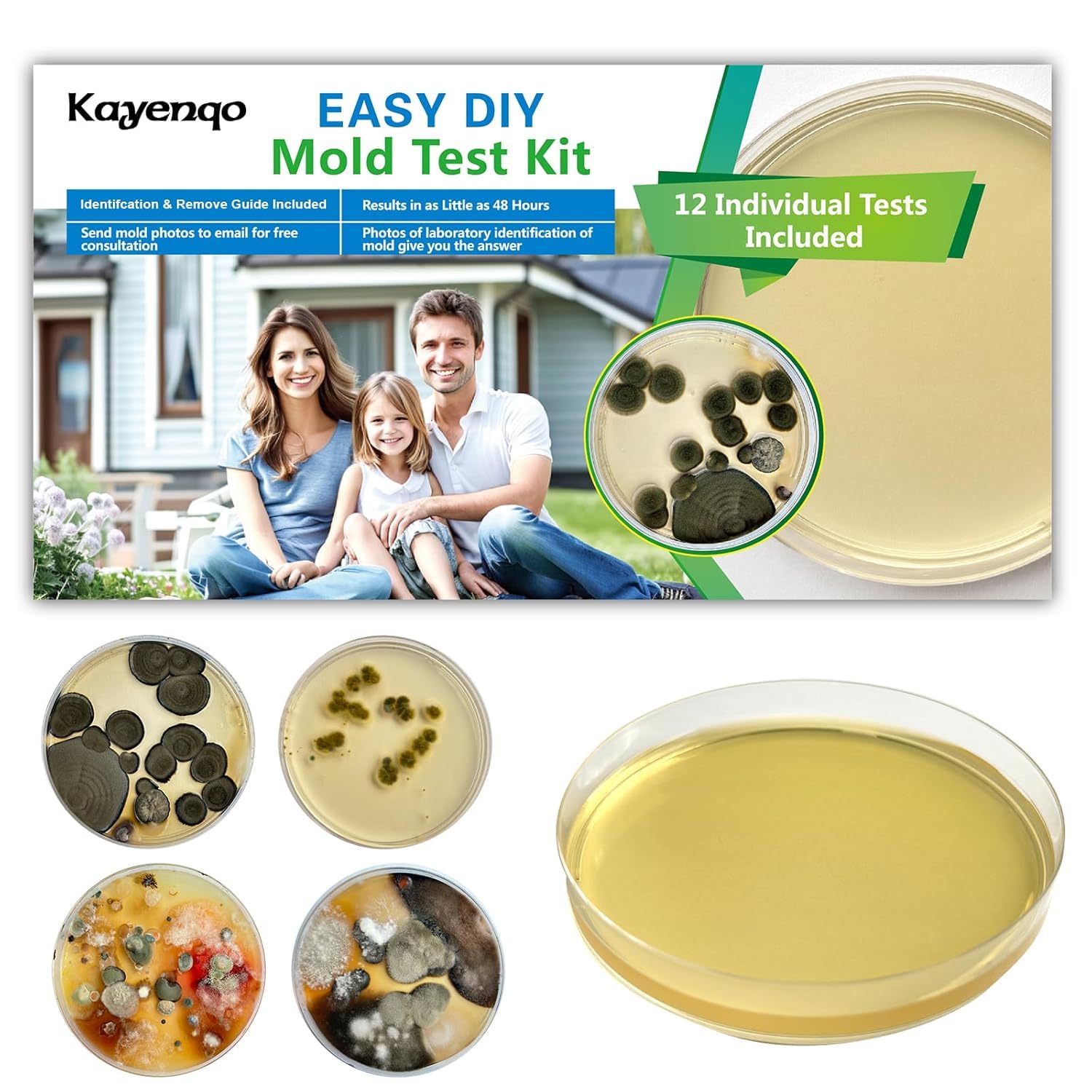 Mold Test Kit for Home - 12 Simple Detection