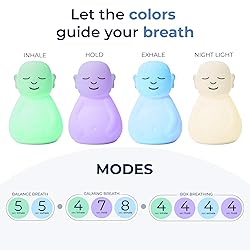 Mindsight 'Breathing Buddha' Guided Visual