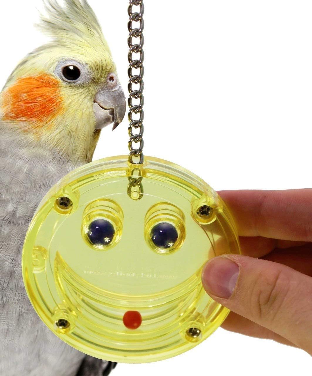 cockatiel accessories