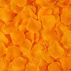 CODE FLORIST 2200 PCS Silk Flower Rose Petals for