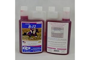 SU-PER B-12 Energy Horse Supplement - Equine Vitamins B-12 & B-9 Folic Acid Support Liquid - Red Blood Cell Production & Stamina Support for Peak Performance - Quart, (2 Pack)