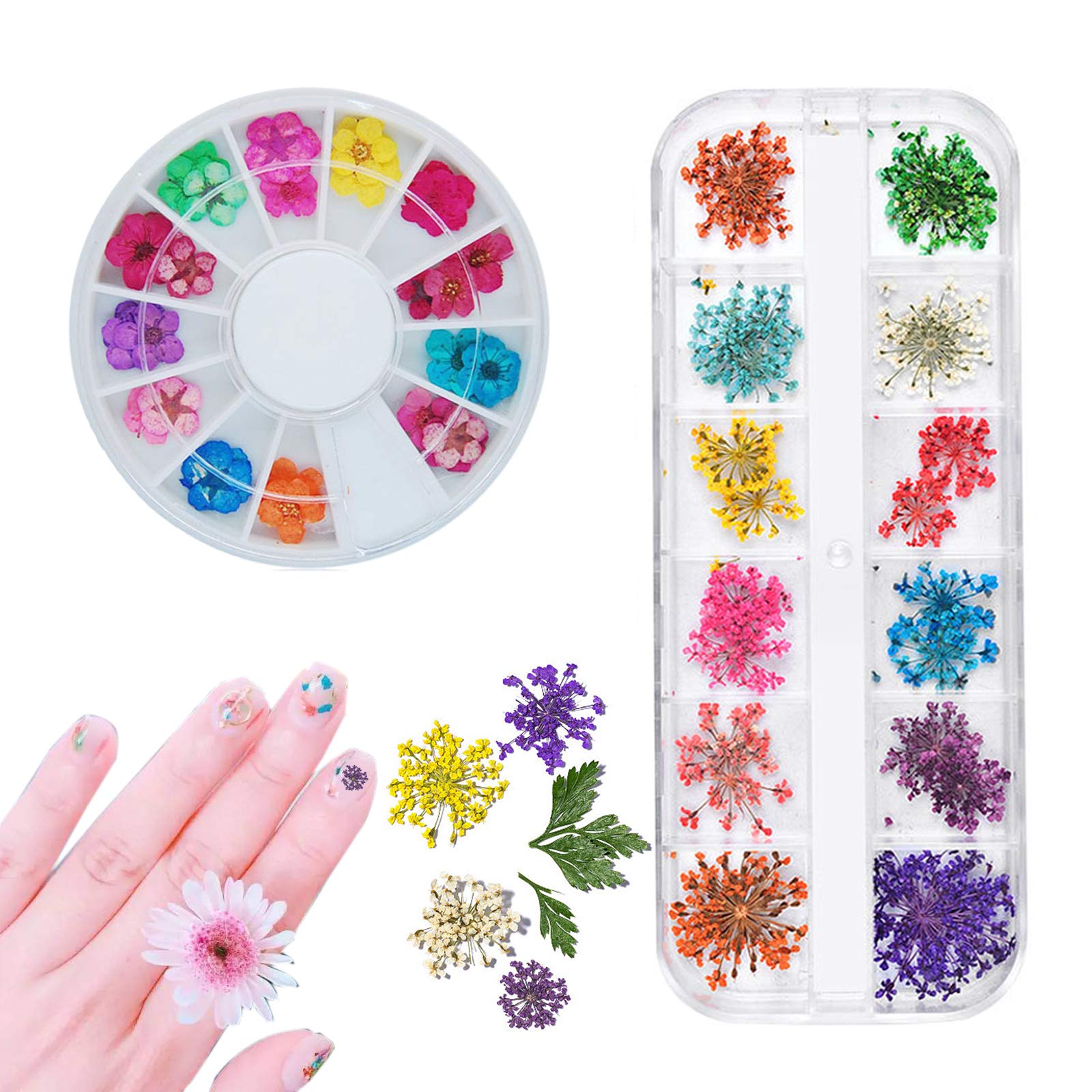 24pcs Tiny Pressed Real Natural Dried Flower, Colorful Real Dry Flowers for DIY Craft Nail Art Candle Resin Jewelry Pendant Floral Decoration Supplies