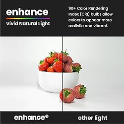 Feit Electric A15 LED Light Filament Bulb, 40W