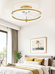 ZMISHIBO Ceiling Fans with Lights and