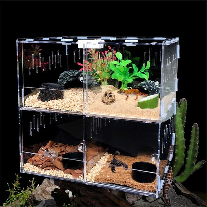 Caja De Cría Transparente Para Insectos - Terrario Para Tarántulas, Grillos, Lagartos, Reptiles Pequeños, Hábitat De Plástico