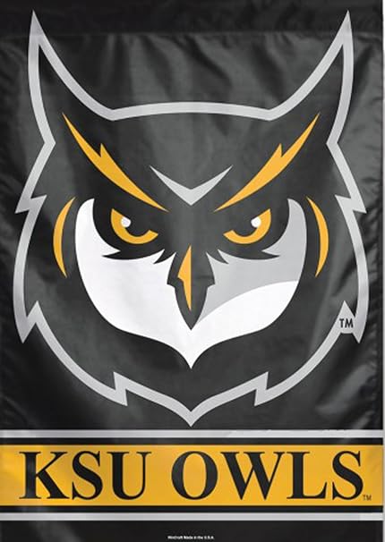 Amazon Com Wincraft Kennesaw State University Ksu Owls Vertical