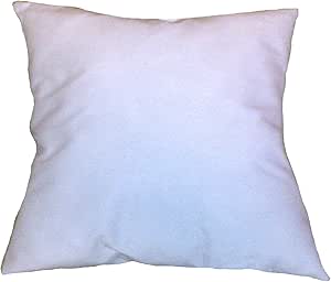 25x25 pillow insert