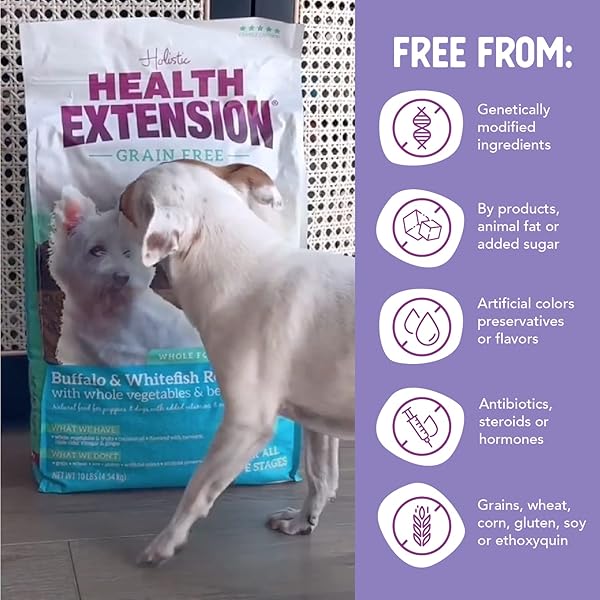 HEALTH EXTENSION GRAIN FREE BUFFALO & WHITEFISH LITTLE BITES (1 LB / 0.45 KG) – SMALL KIBBLE FORMULA WITH OMEGA 3 & WHOLE FOODS FOR TEACUPS, TOYS & MINIATURE DOGS