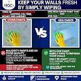 HQC Weather Shield Terracotta Masonry Paint 1L Storm Proof Scrub Resistance view 8