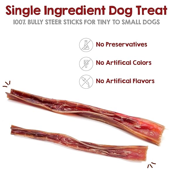 RILEY’S STEER BULLY STICKS FOR TINY TO SMALL DOGS – ODOR FREE SINGLE INGREDIENT CHEW TREAT – EASILY DIGESTIBLE, 100% BEEF PIZZLE STICKS FOR DOGS – 4-6″, 10CT