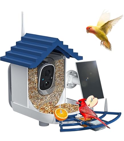 How to Stop Birds from Perching on Blink Cameras: Easy Fixes