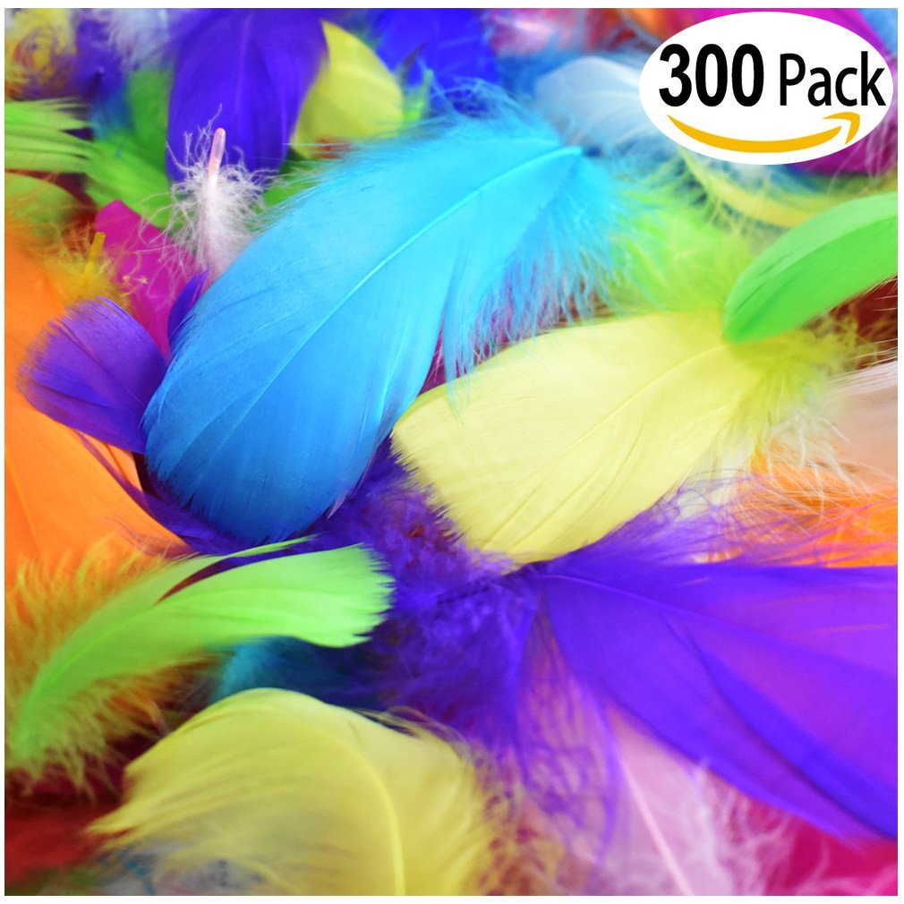 Chinabrands Com Dropshipping Wholesale Cheap 300pcs Decor