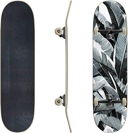 vans skateboards amazon