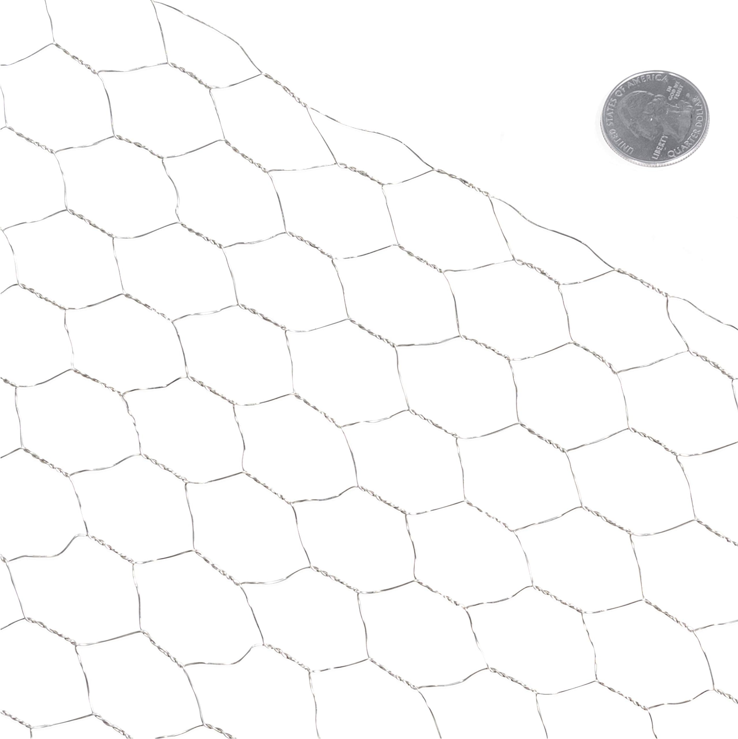 Fencer Wire 20 Gauge Galvanized Poultry Hex Netting with 1 inch Mesh (2 ft. x 10 ft.)
