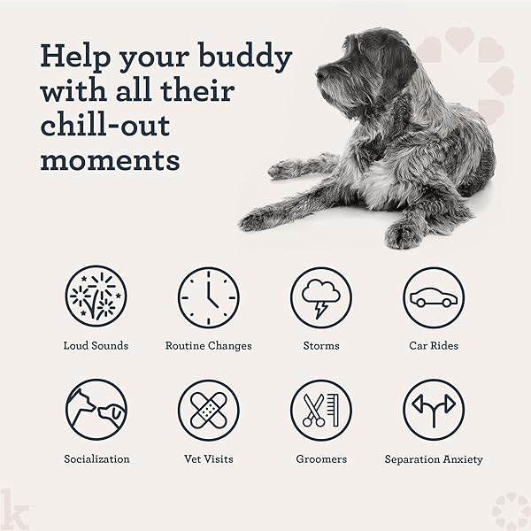 KRADLE BLISS BARS FOR DOGS – PEANUT BUTTER FLAVORED CALMING – GABA L-THEANINE – ON THE GO PACKAGING – SUPPORTS A CALM DEMEANOR – 12 BARS
