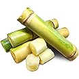 Fresh Sugar Cane (15lb)