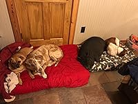 Review Image by Mandy