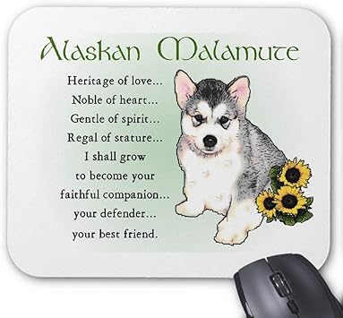 malamute gifts
