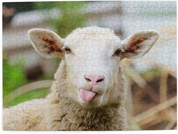 Amazon 500ピース ジグソーパズル 面白い羊 パズル 木製パズル 動物 風景 絵 ピクチュアパズル Puzzle 52 2x38 5cm ジグソーパズル おもちゃ
