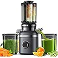 GlowWise Cold Press Masticating Juicer Machines with Built-in Blades for Slicing Whole Fruits & Vegetables, 4.35" Large Feeding Chute, Quiet & Easy to Clean, 99% High Juice Yield