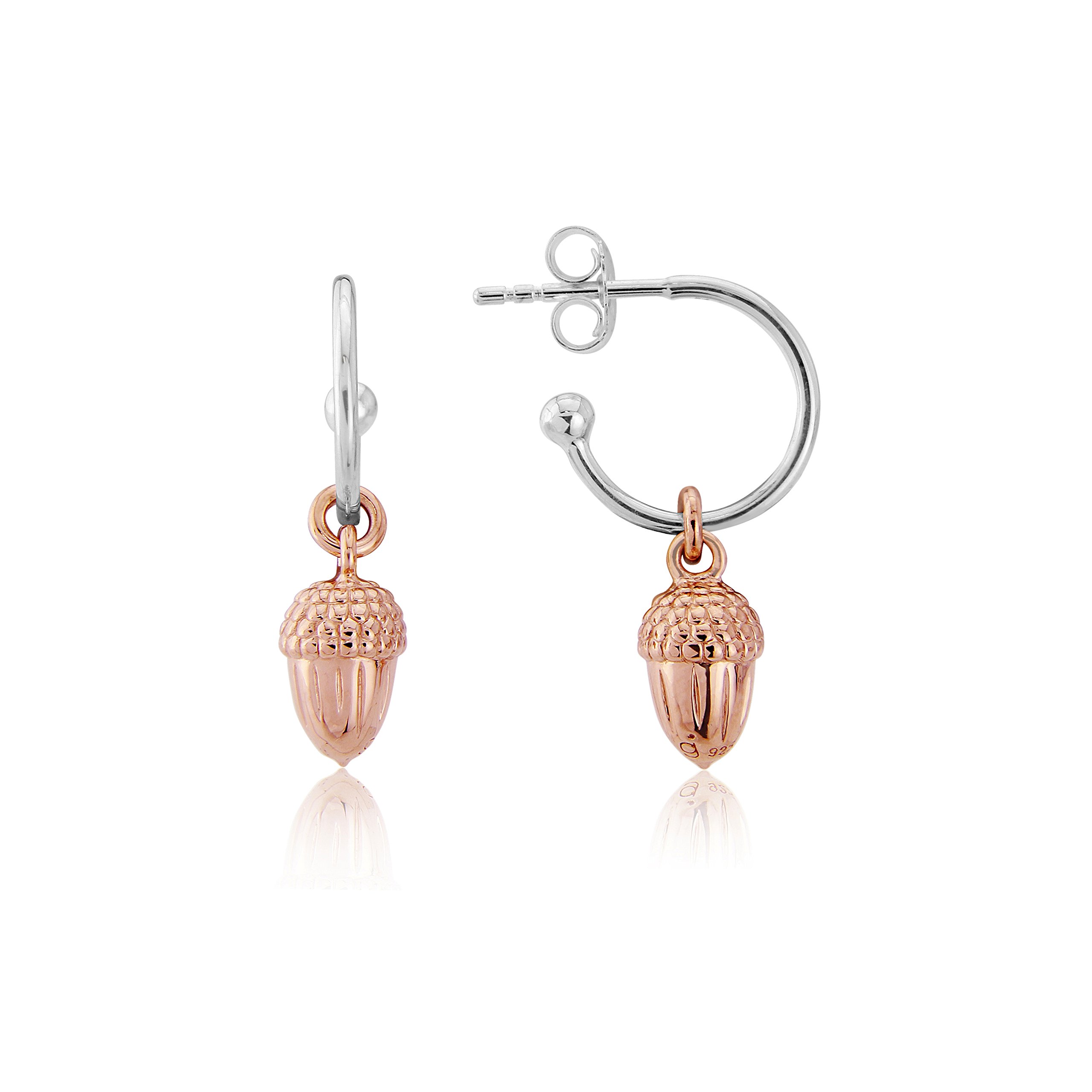 Gemma J Acorn Hooped Earrings – Premium Highly Detailed Symbolic Acorn Earrings Jewellery